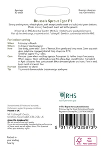 RHS Brussels Sprouts Igor F1 Seeds - image 2