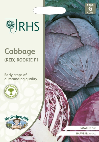 RHS Cabbage (Red) Rookie F1 Seeds - image 1