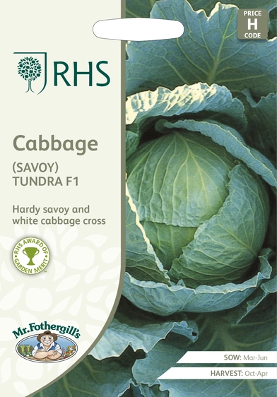 RHS Cabbage (Savoy) Tundra F1 Seeds - image 1