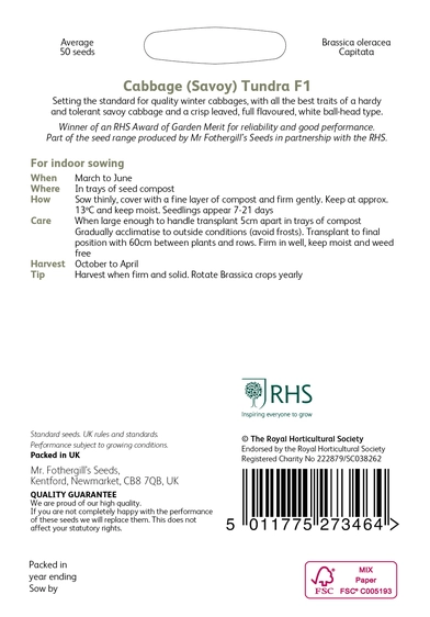 RHS Cabbage (Savoy) Tundra F1 Seeds - image 2