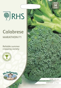 RHS Calabrese Marathon F1 Seeds - image 1