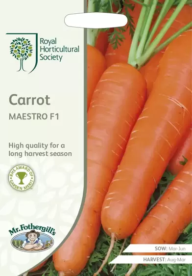 RHS Carrot Maestro F1 - image 1