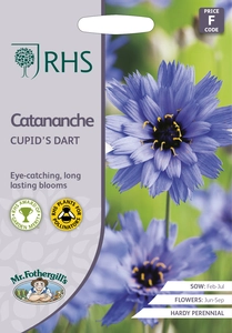 RHS Catananche Cupid's Dart Seeds - image 1