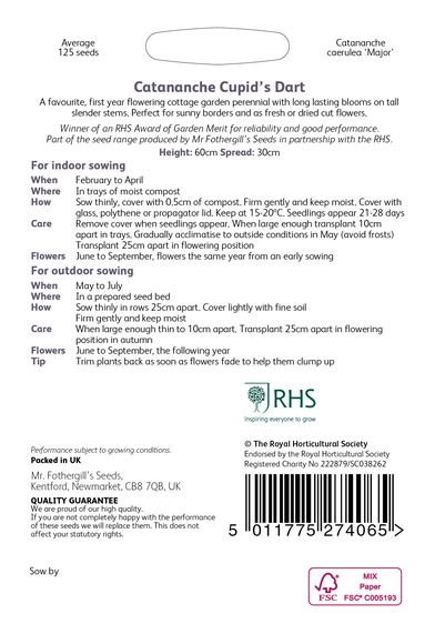 RHS Catananche Cupid's Dart Seeds - image 2