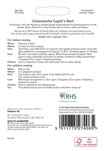 RHS Catananche Cupid's Dart Seeds - image 2