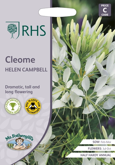 RHS Cleome Helen Campbell Seeds - image 1
