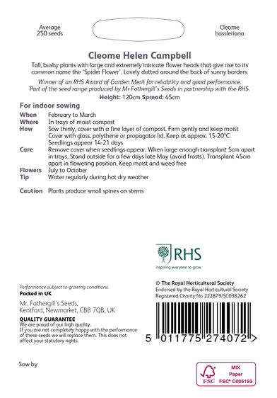 RHS Cleome Helen Campbell Seeds - image 2