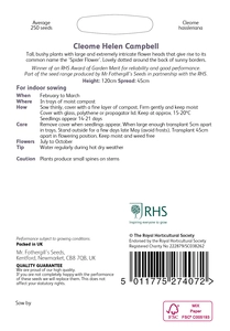 RHS Cleome Helen Campbell Seeds - image 2