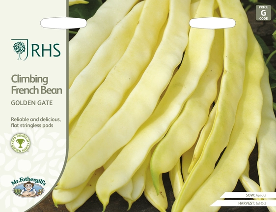 RHS Climbing French Bean Golden Gate Seeds - image 1