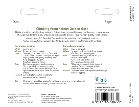 RHS Climbing French Bean Golden Gate Seeds - image 2