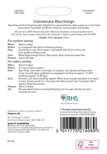 RHS Convolvulus Blue Ensign Seeds - image 2