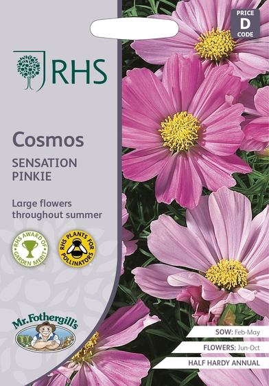 RHS Cosmos Sensation Pinkie Seeds - image 1
