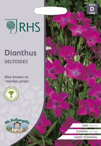RHS Dianthus deltoides Seeds - image 1