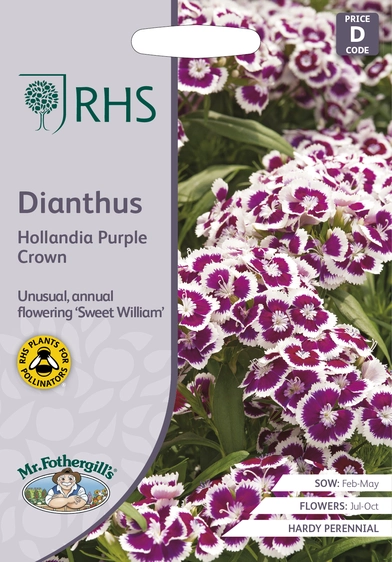 RHS Dianthus hollandia Purple Crown Seeds - image 1