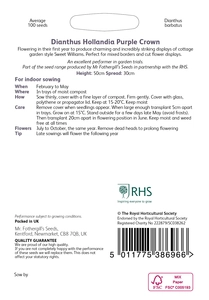 RHS Dianthus hollandia Purple Crown Seeds - image 2