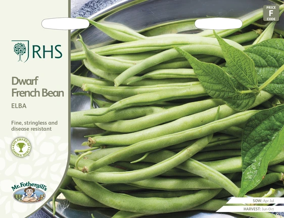 RHS Dwarf French Bean Elba Seeds - image 1