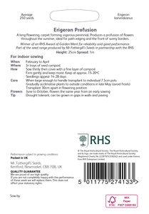 RHS Erigeron Profusion Seeds - image 2