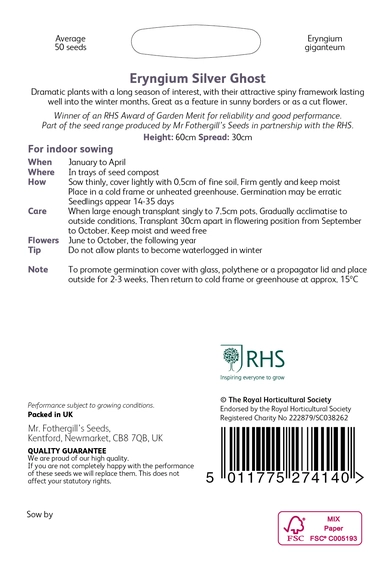 RHS Eryngium Silver Ghost Seeds - image 2