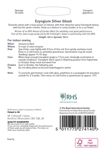 RHS Eryngium Silver Ghost Seeds - image 2