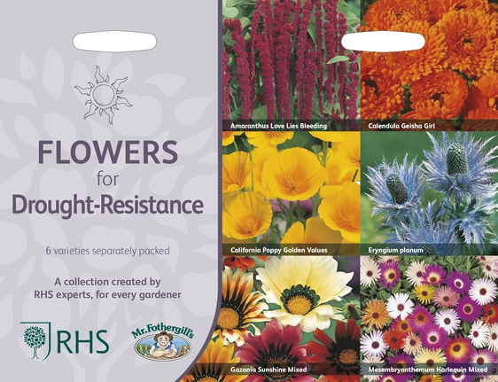 RHS Flowers For Drought Resistance - image 1