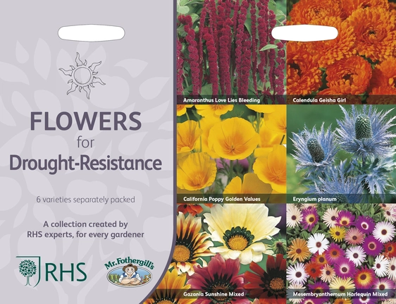 RHS Flowers For Drought Resistance Seeds - image 1