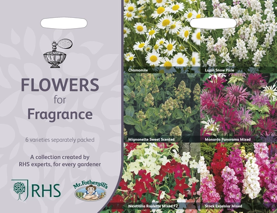 RHS Flowers For Fragrance Seed Collection - image 1