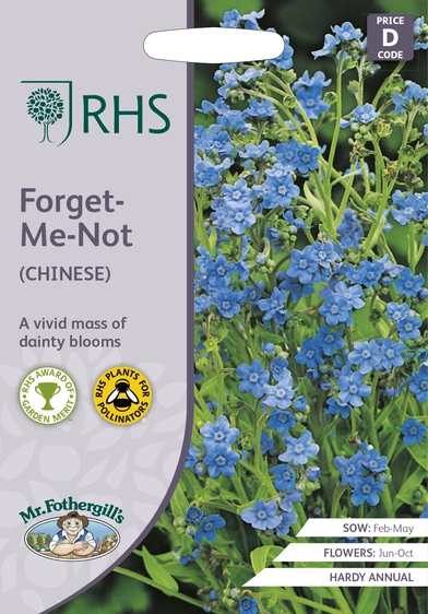 RHS Forget-Me-Not (Chinese) Seeds - image 1