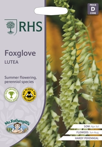 RHS Foxglove lutea Seeds - image 1