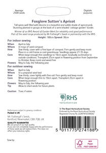 RHS Foxglove Sutton's Apricot Seeds - image 2