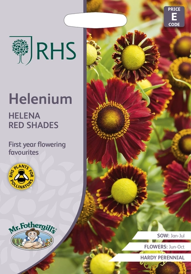 RHS Helenium Helena Red Shades Seeds - image 1