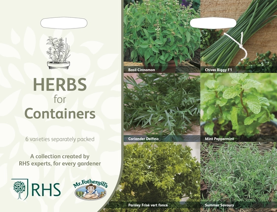 RHS Herbs For Containers Collection - image 1
