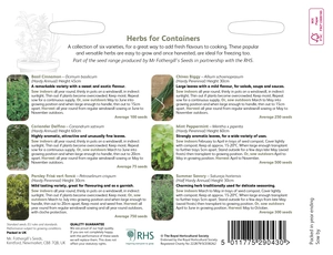 RHS Herbs For Containers Collection - image 2