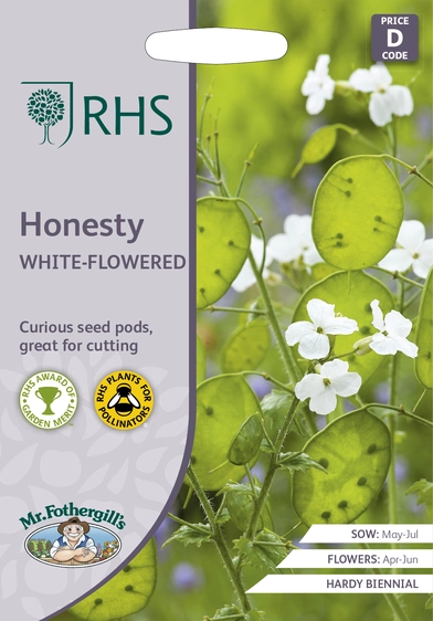 RHS Honesty White-Flowered Seeds - image 1