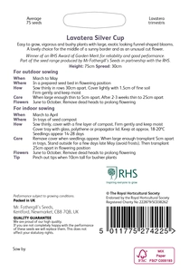 RHS Lavatera Silver Cup Seeds - image 2