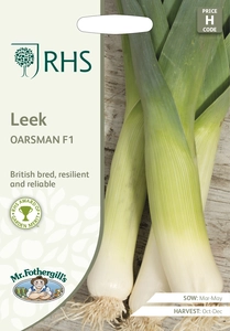 RHS Leek Oarsman F1 Seeds - image 1