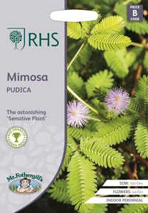 RHS Mimosa pudica Seeds