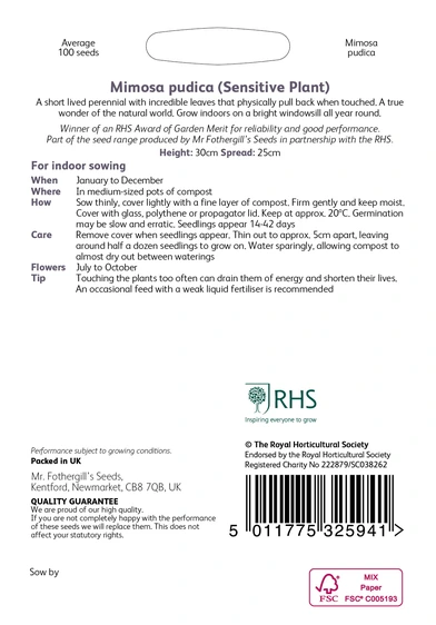 RHS Mimosa pudica Seeds - image 2