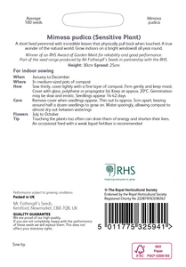 RHS Mimosa pudica Seeds - image 2