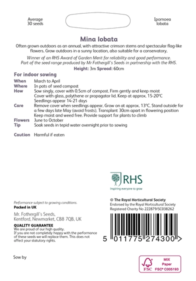 RHS Mina lobata Seeds - image 2