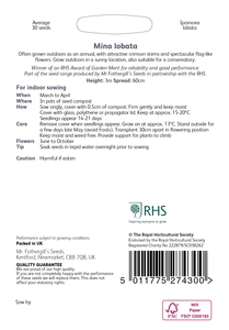 RHS Mina lobata Seeds - image 2