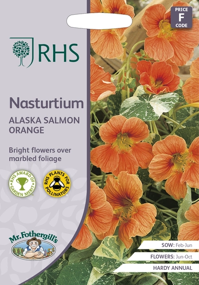 RHS Nasturtium Alaska Salmon Orange Seeds - image 1