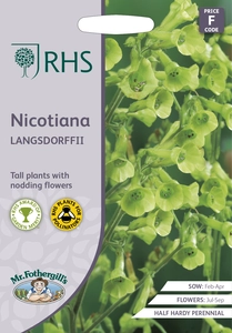 RHS Nicotiana langsdorffii Seeds