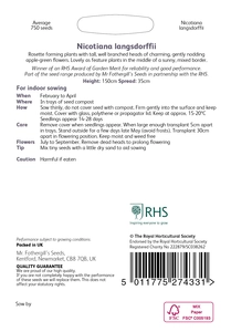 RHS Nicotiana langsdorffii Seeds - image 2