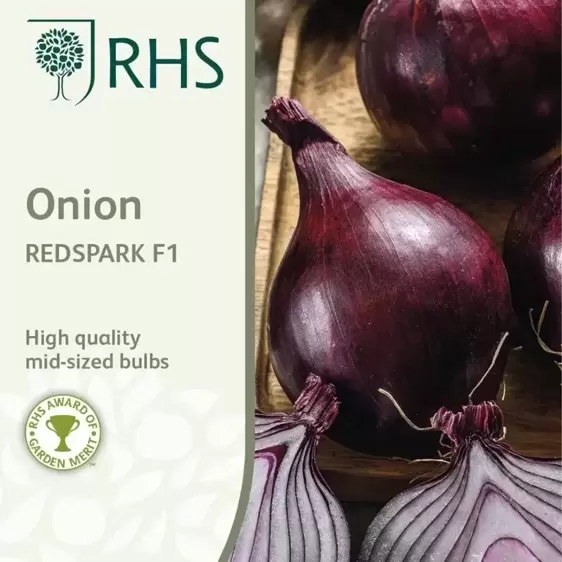 RHS Onion Redspark F1