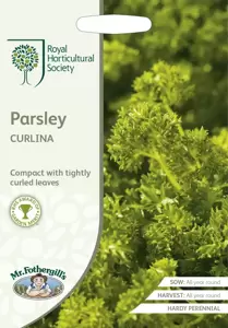 RHS Parsley Curlina - image 1