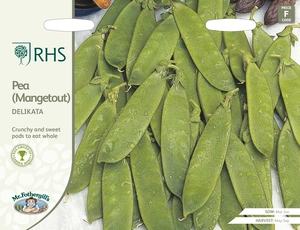 RHS Pea (Mangetout) Delikata Seeds - image 1