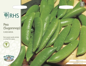 RHS Pea (Sugarsnap) Cascadia Seeds - image 1