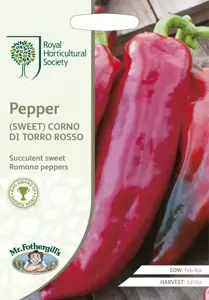 RHS Pepper (Sweet) Corno di toro rosso - image 1
