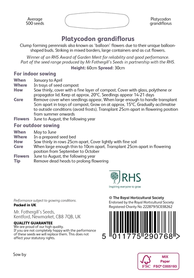 RHS Platycodon grandiflorus Seeds - image 2