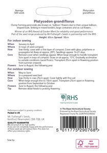 RHS Platycodon grandiflorus Seeds - image 2